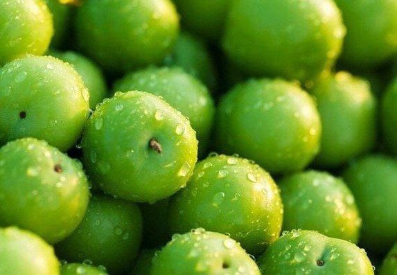 نوبرانه‌ها کیلویی چند؟/ با گذشت زمان قیمت‌ها کاهشی می‌شود