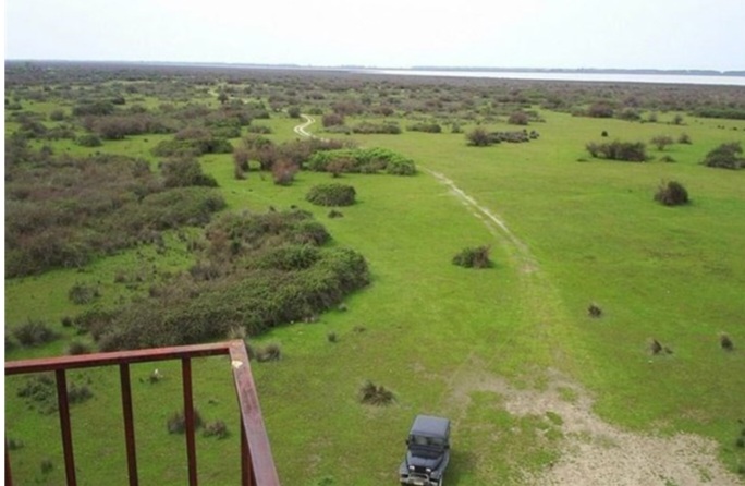 استاندار مازندران: پتروشیمی میانکاله دیگر وجاهت قانونی ندارد