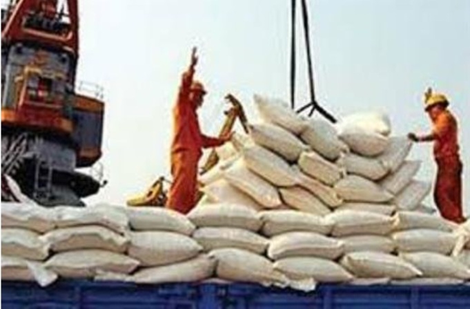 کانتینرهای کالاهای اساسی در انفجار بندر رجایی نبودند/ ترخیص کالاهای اساسی امروز از سرگرفته می‌شود