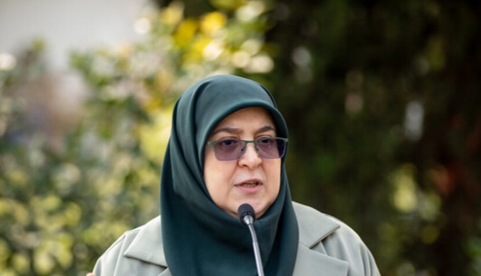 مهاجرانی: امروز دفاع از ایران، فراتر از جناح‌ها یک مسئولیت ملی است