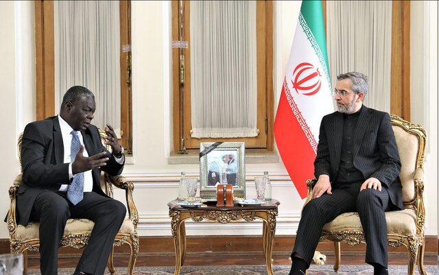 باقری: ایران با حمایت مردم همواره تهدیدها را به فرصت تبدیل کرده است