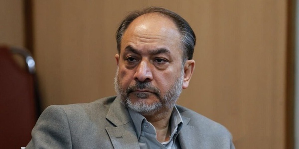 صدرالحسینی: پاسپورت هنیه دیپلماتیک بود و از نظر حقوق بین‌الملل مصونیت داشت